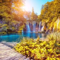 Tours & Sightseeing