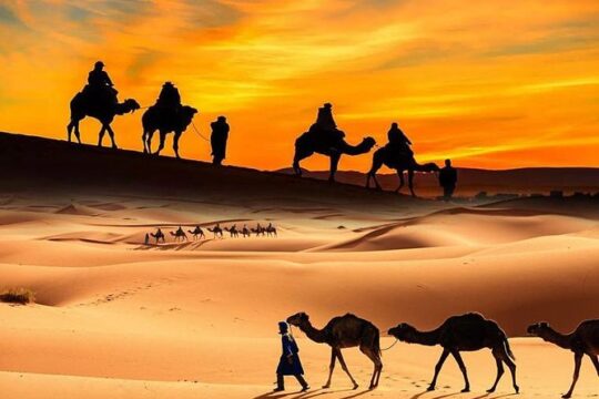 Dubai Desert Safari ALL INCLUSIVE, Camel ride, ATV Quadbike, Sandboarding, BBQ