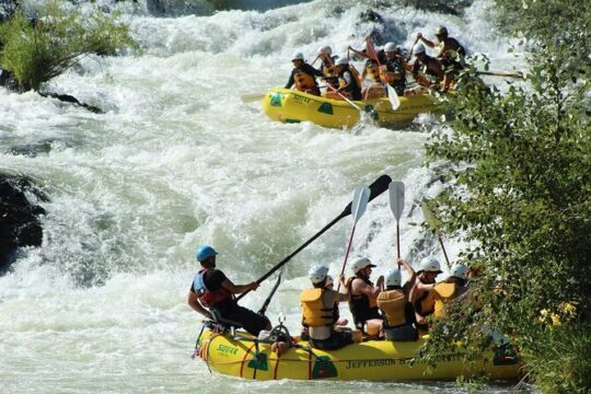 Full Day Rogue River Experience Class (I-IV)