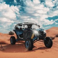 Shore Excursions
