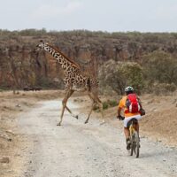 Private & Custom Tours