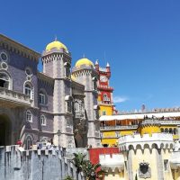 Cultural & Theme Tours