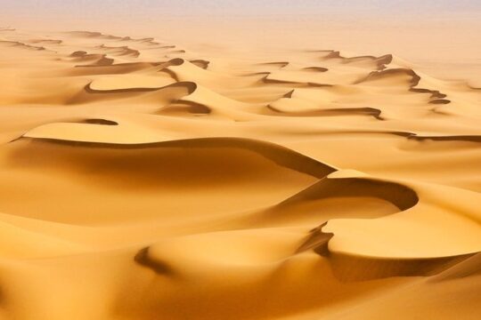 Morning Desert Safari with Camel Ride and Sandboarding