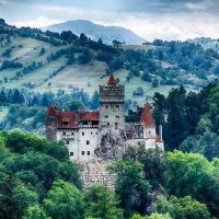 Bus & Minivan Tours