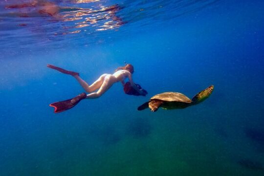 Lahaina Turtle Town Snorkel with Sea Scooter