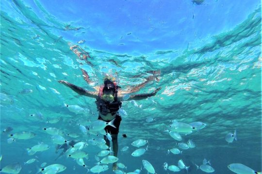 Ibiza Snorkeling Beach and Cave Cruise Tour