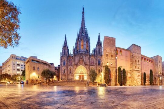 Barcelona Highlights + Sagrada Familia, Park Güell and Casa Milà