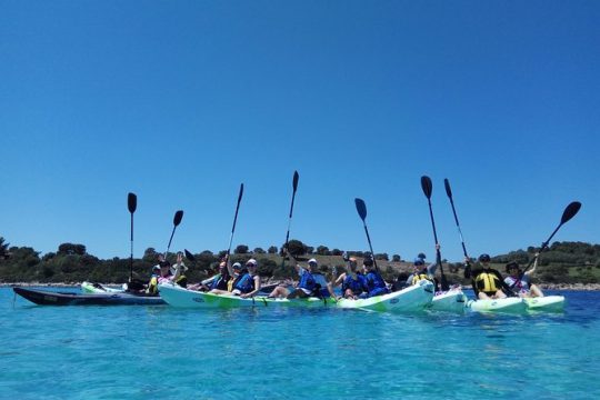 Guided half-day kayak tour