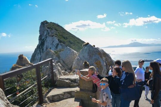 Historic Gibraltar Rock and St Michael's Cave Tour from Seville