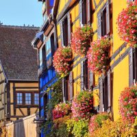 Walking & Biking Tours