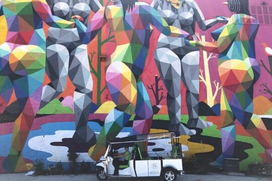 Public Art Tour in Jacksonville