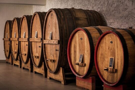 Winemaker for a Day: Tour an Organic Winery
