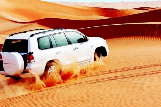 Red Dunes Safari with BBQ dinner, Falcon and Camel Ride