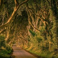 Day Trips & Excursions