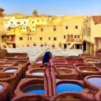 Cultural & Theme Tours