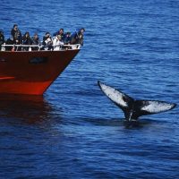 Sustainable Tours