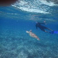 Shore Excursions