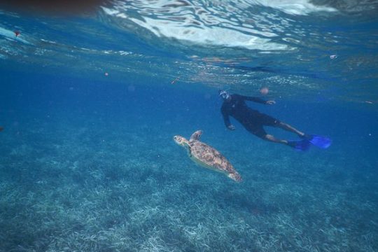 All inclusive Snorkeling at Hol Chan