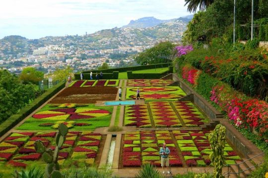 Private Half day tour around Madeira Island