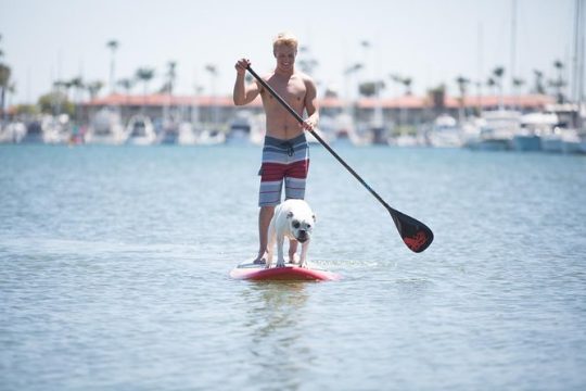 1.5 Hour Paddle Board Rental with Instruction