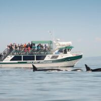 Cruises, Sailing & Water Tours