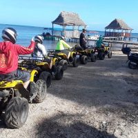 Tours & Sightseeing