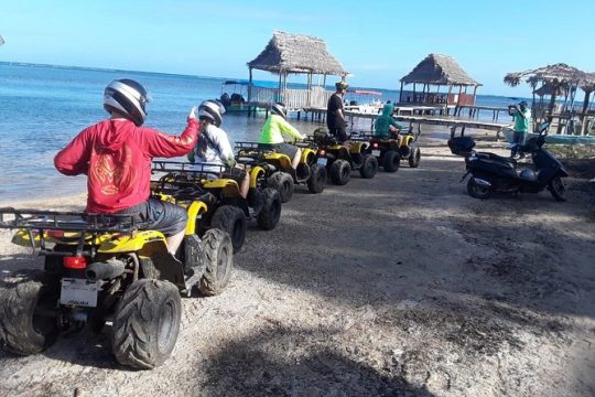 Roatan Monkey and Sloth Hangout plus ATV Adventure