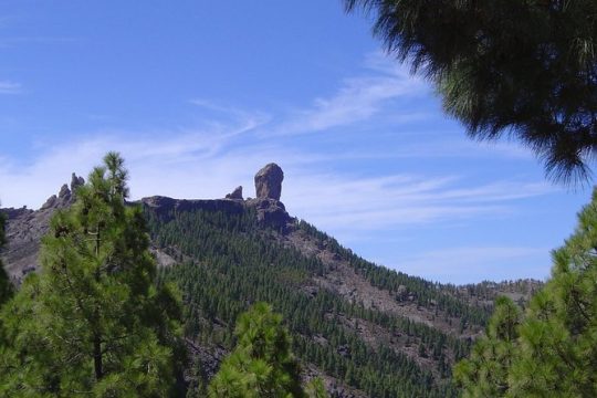 Full-Day Gran Canaria Island Tour - Cumbres