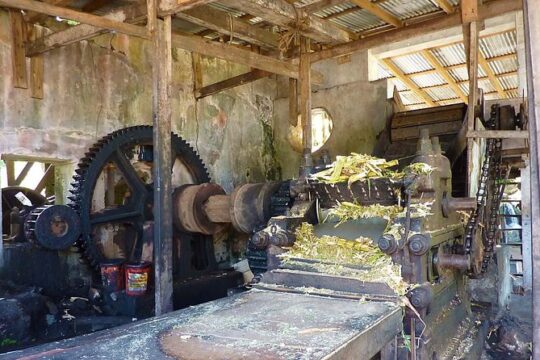 Full-Day Tour: Concord Waterfall, Chocolate Factory, Rum Distillery, Grand Etang