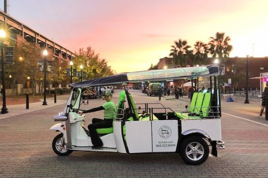 Half-Day City Tour in Downtown Jacksonville