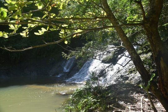 Hike to a Hidden Puerto Rican Waterfall Adventure