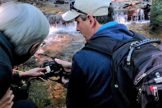 Half-Day Tour With Instruction in Vistas & Waterfall Photography