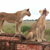 Sightseeing Tickets & Passes