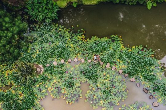 Furnas and Terra Nostra Botanic Gardens Guided Tour (with lunch)