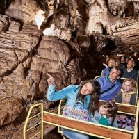 Cultural Tours
