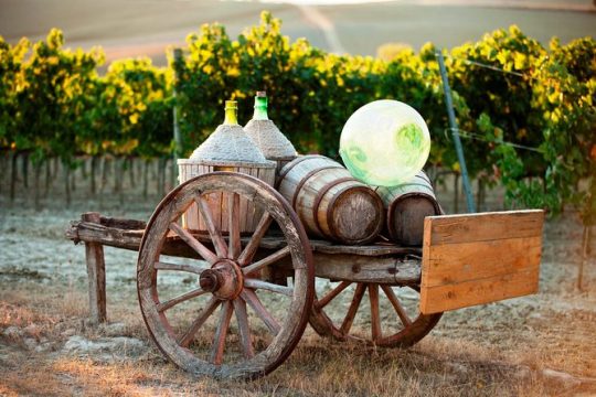 Chianti Classico, Montalcino, Montepulciano by minivan: Wine Tastings & Lunch
