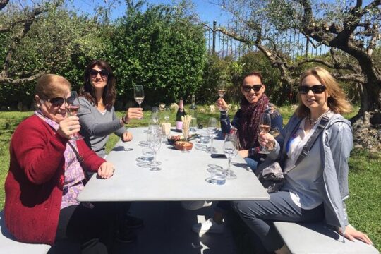 Montserrat and Vineyard with Wine Tasting Small Group Tour with Hotel pick-up