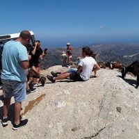 Shore Excursions