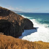 Shore Excursions