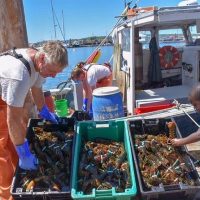Shore Excursions