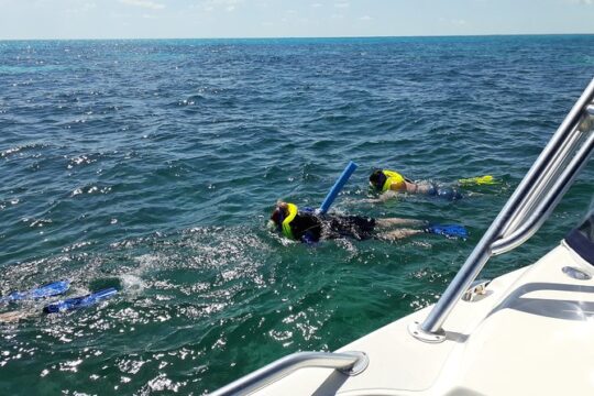 Coral Reef Private Snorkel tour out to John Pennekamp Coral Reef State Park