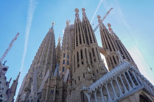 Sagrada Familia Priority Access Tour with Tower Entry