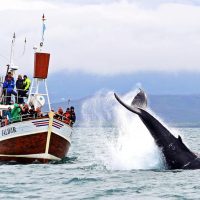 Sustainable Tours