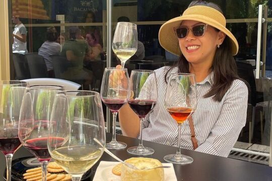 Arrábida, Setúbal, Palmela, Sesimbra private tour