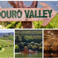 Bus & Minivan Tours