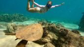 Safe and fun snorkeling even for non-swimmers 