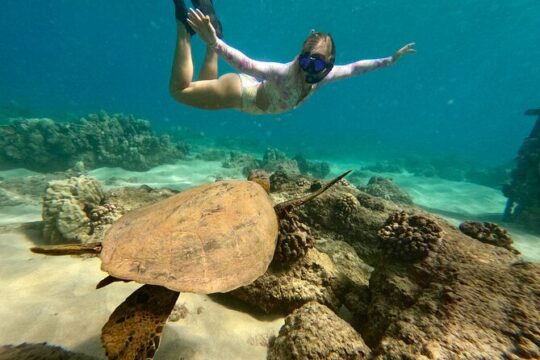 San Juan Guided Snorkel Tour