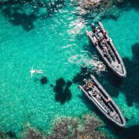 Shore Excursions