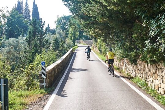 Active Full Day Tuscan Bike Tour