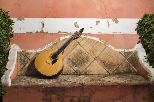 Lisbon Walking Tour with Dinner & Fado Music